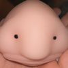 blobfishtoaster