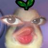 alissonvalencia466