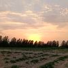 afg.kaihan