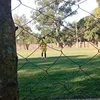 leoprieto56