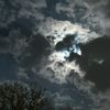 k.r_022