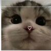 addiefwmbff