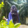 sumai_ahhh