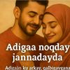 shaqaleh1