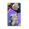 nabila.islam182