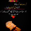 salmanandhyra