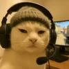 shan_2o