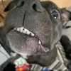 charliew2412