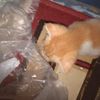 zhafaaj_12