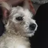 duongmetmoiii