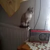 maria.popiel8