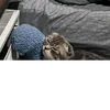 yurico338