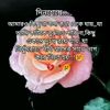 aysha.r59
