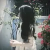 hf.lynhhh
