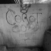 f.m_crt