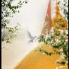 um.abbas112