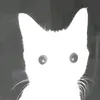 vtdienn04