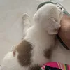 cuc.sng.ng.qu5