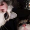 chuna_masha