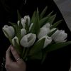 aysun5929
