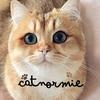 catnormie