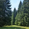 ivanochka997