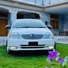 sk_rides01