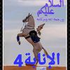 user8526635870016