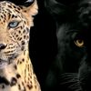 meriem_br_27