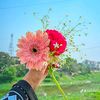 shoronr.bou.nishi