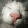 userxz288