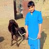 husnainali59117