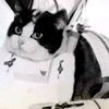.felicette576