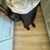 cason.barbosa
