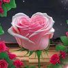 mooi........2