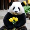sohrat.yasuzakow
