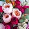 ruhi79795