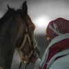 iluilxil_20