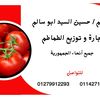 user6746095904702