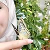 amina.hmz1