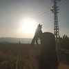 neda_b.31
