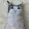 komygi.pidor