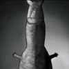 vaguestspore977