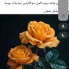 user7675094252827