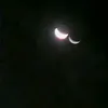 anis_r08