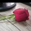 samou.doudou