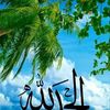 user5675208812704