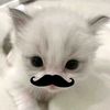keyilalalala