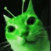 5tar_paw55
