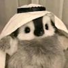 elvistojin3